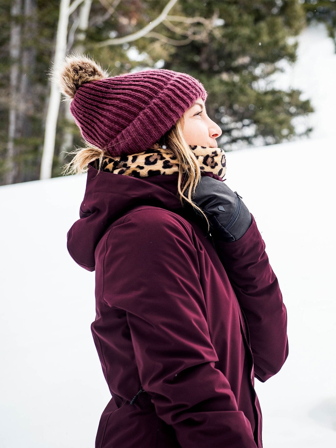 Womens 3D Stretch Gore-Tex Jacket - Merlot